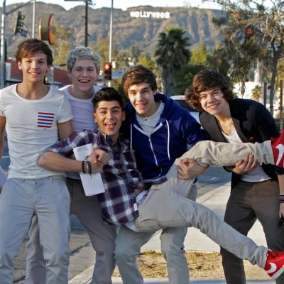 &Scaron;to danas rade članovi One Directiona? Albumi, turneje i nova solo poglavlja