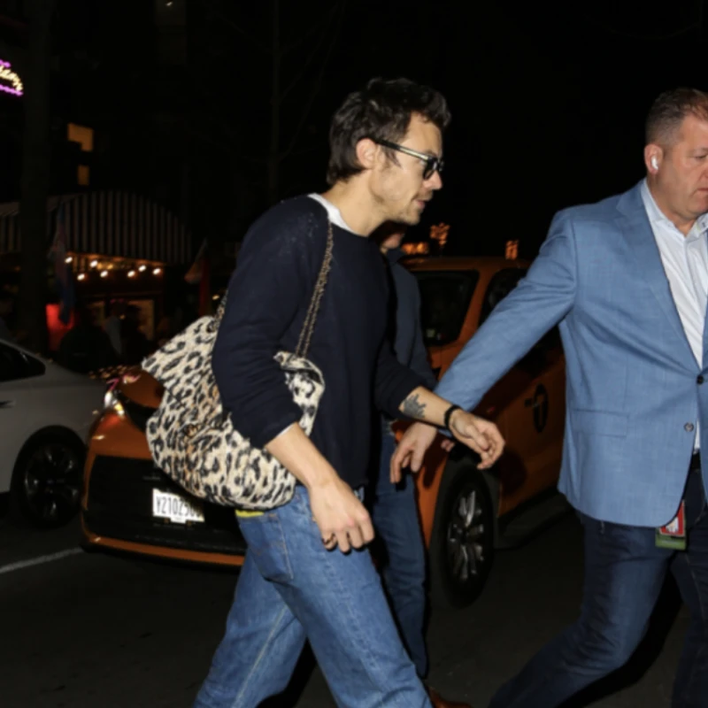 Harry Styles pokazao kako se nosi najpoželjnija torba sezone